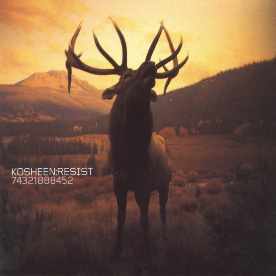 Kosheen — Empty Skies cover artwork
