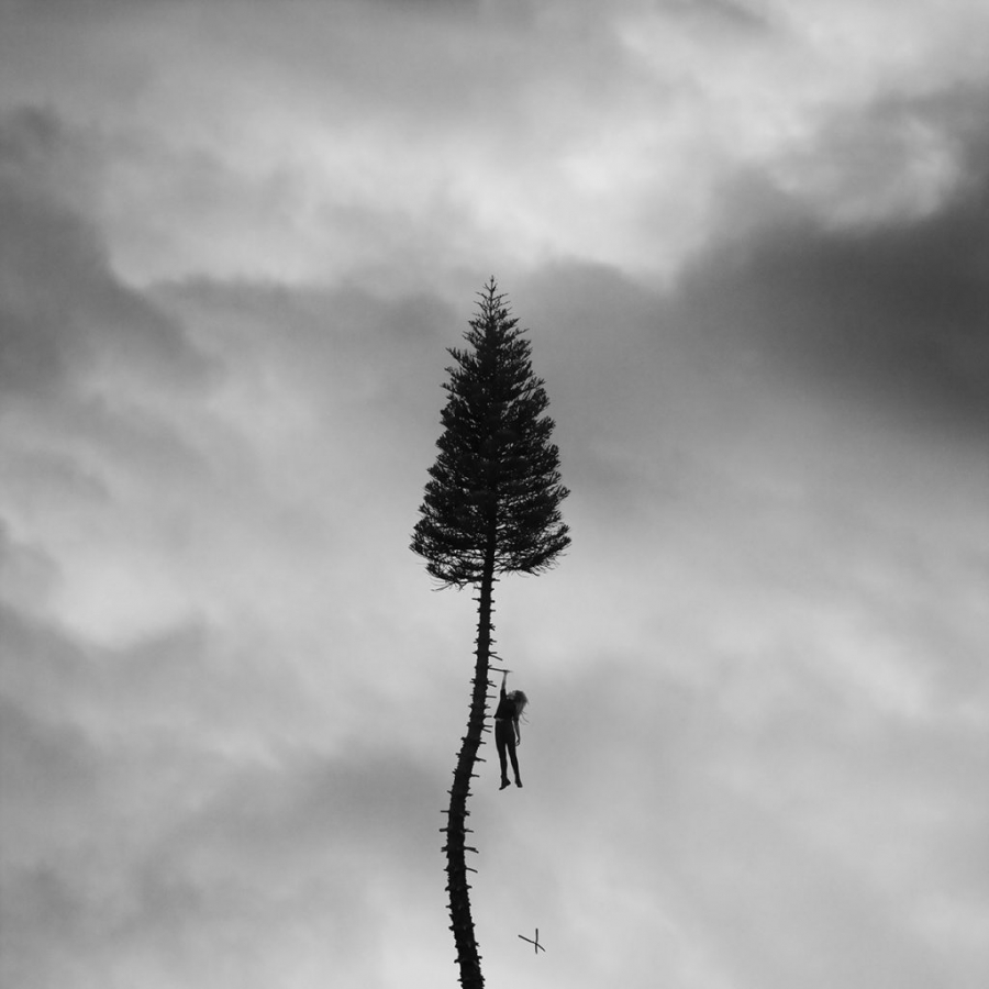 Manchester Orchestra — The Mistake cover artwork
