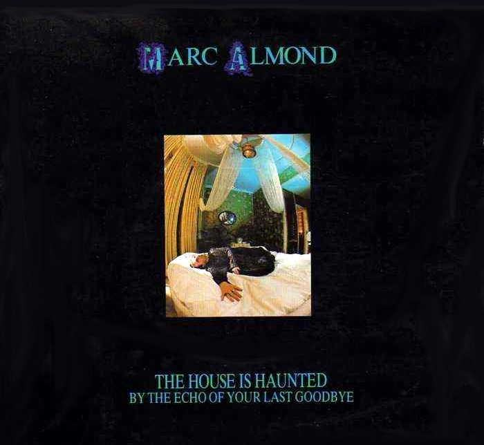 Marc Almond — The House Is Haunted (By the Echo of Your Last Goodbye) cover artwork