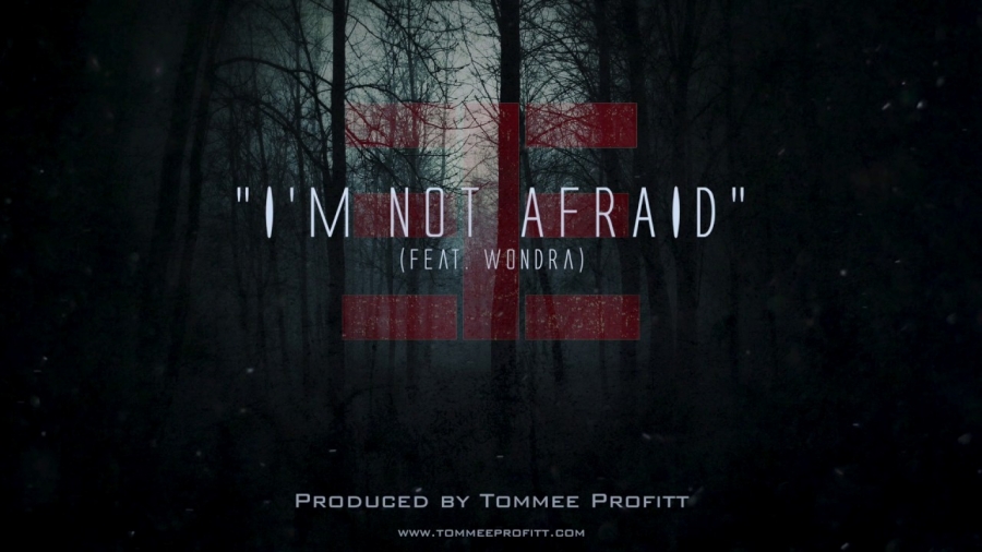 Tommee Profitt ft. featuring Wondra I&#039;m Not Afraid cover artwork