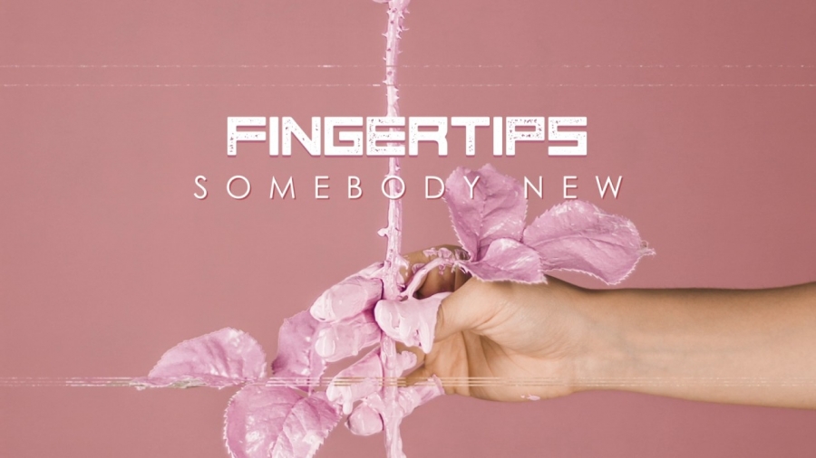 Fingertips — Somebody New cover artwork