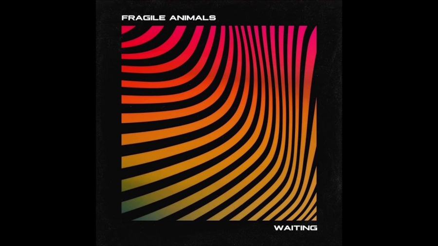 Fragile Animals Waiting cover artwork
