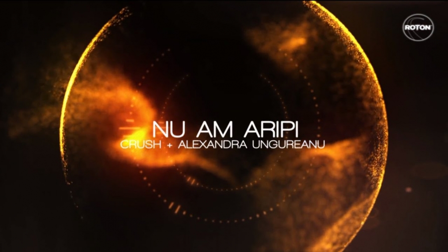 Alexandra Ungureanu — Nu Am Aripi cover artwork