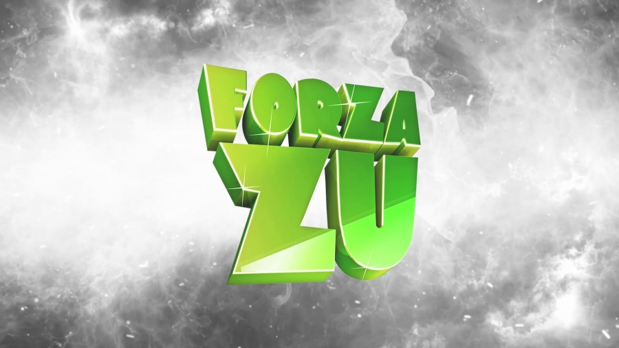 Radio Zu All Stars — Imnul Forza Zu 2013 cover artwork