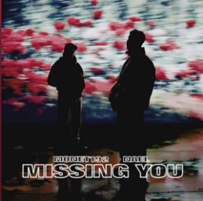 Monet192 featuring Nael — Missing You cover artwork