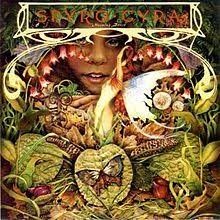Spyro Gyra — Morning Dance cover artwork