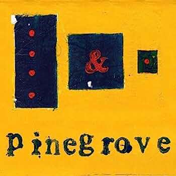 Pinegrove — Need 2 cover artwork