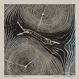 NEEDTOBREATHE Rivers in the Wasteland cover artwork