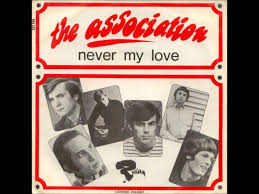 The Association Never My Love cover artwork