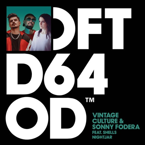 Vintage Culture & Sonny Fodera ft. featuring SHELLS Nightjar cover artwork