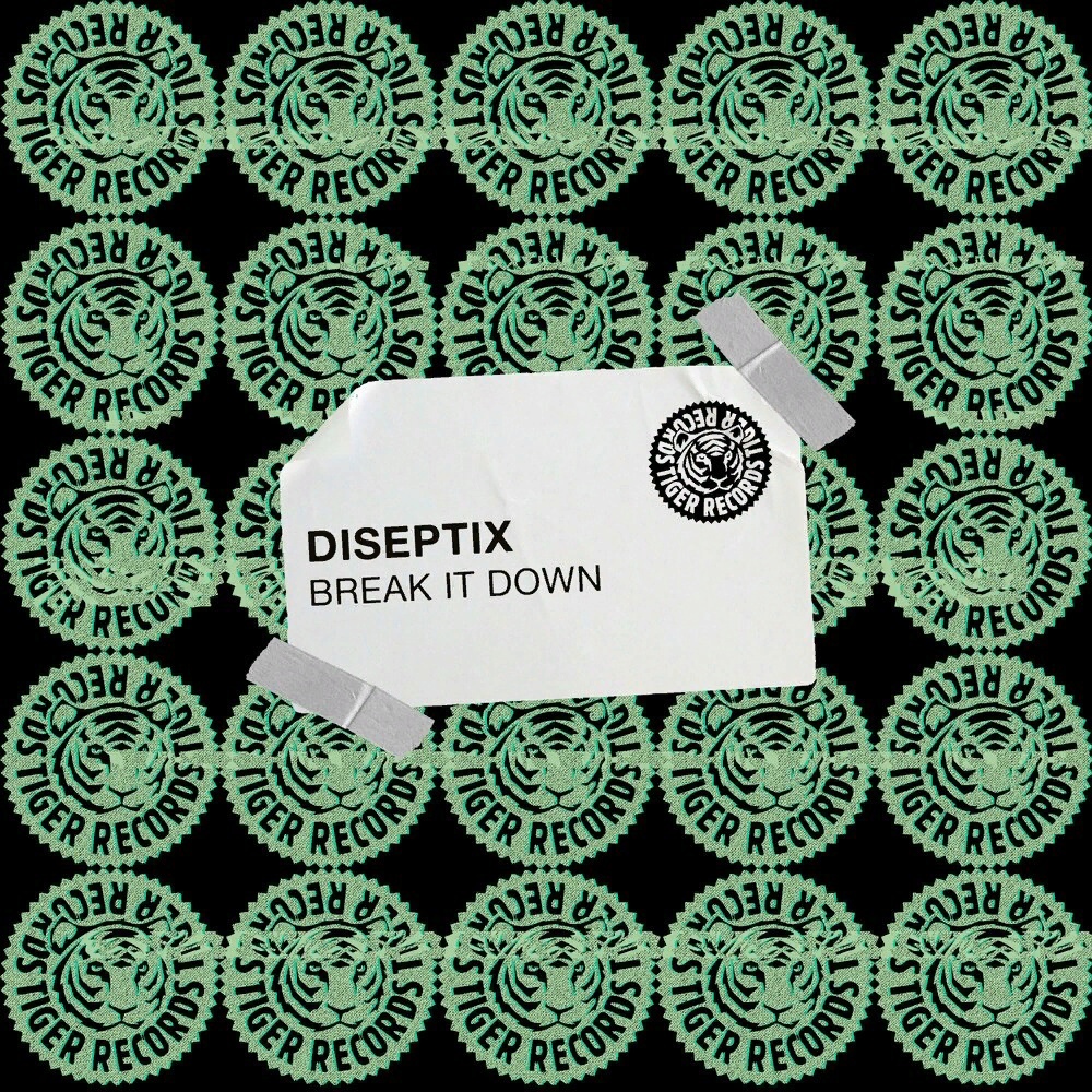 Diseptix Break It Down cover artwork