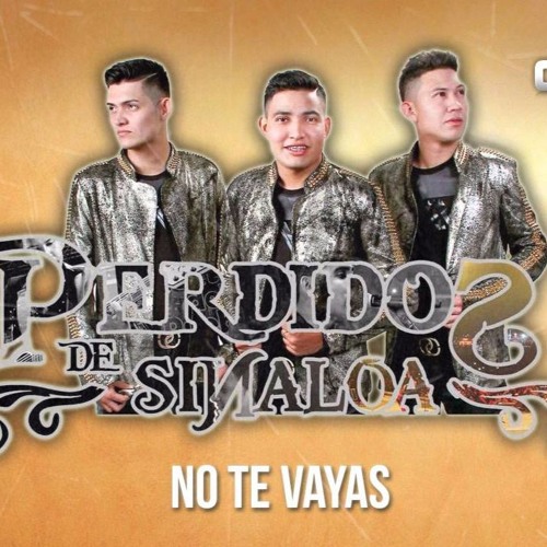 Perdidos De Sinaloa — No Te Vallas cover artwork