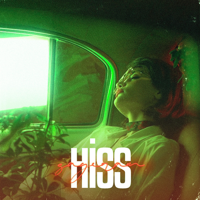 Hiss — Sayıram cover artwork