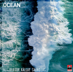 Ali Bakgor featuring Kallay Saunders — Ocean cover artwork