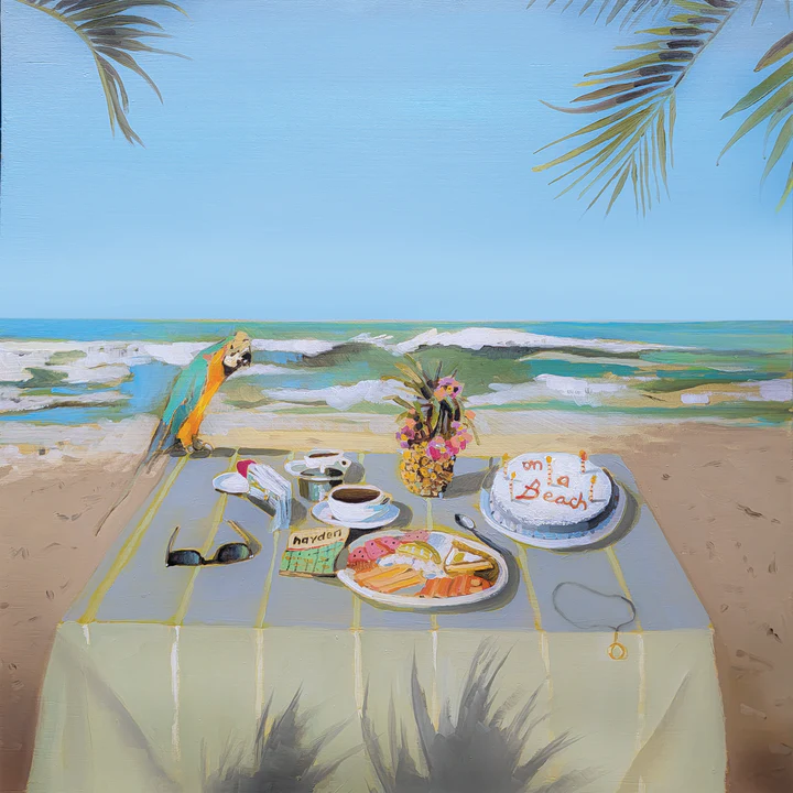Hayden featuring Feist — On a Beach cover artwork