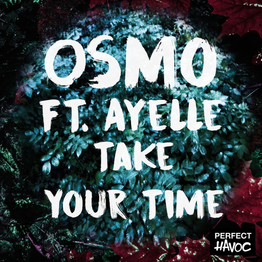 Osmo featuring Ayelle — Take Your Time cover artwork