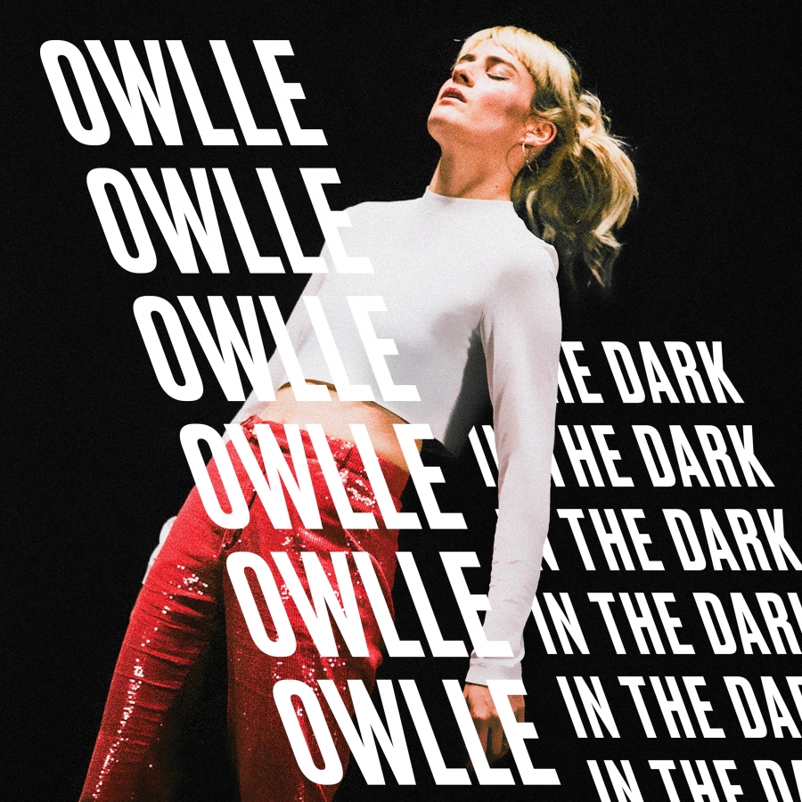 Owlle — In the Dark cover artwork
