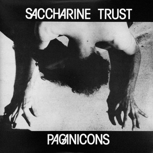 Saccharine Trust Paganicons cover artwork