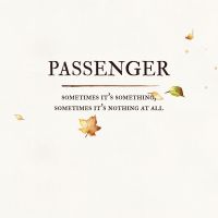 Passenger Sometimes It&#039;s Something, Sometimes It&#039;s Nothing At All cover artwork
