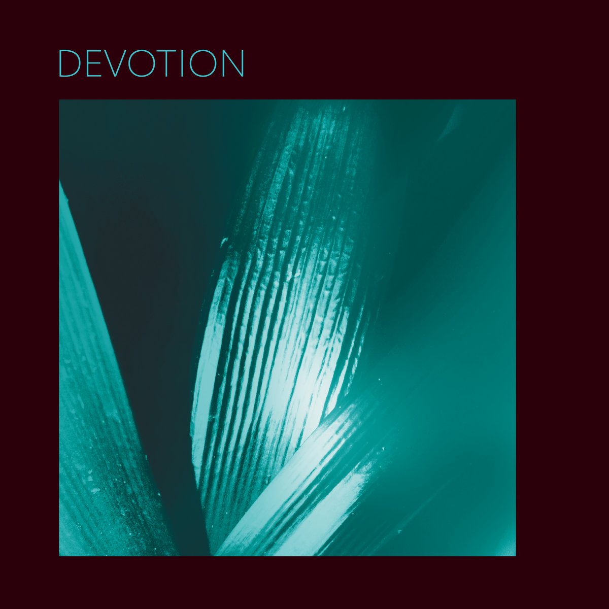 Pure Bathing Culture — Devotion cover artwork