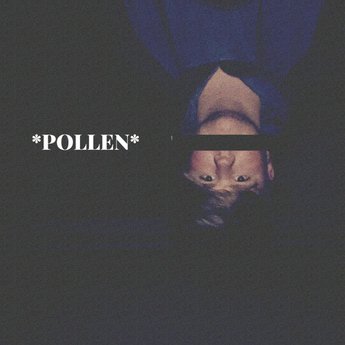 Kid Floral Pollen (Album) cover artwork