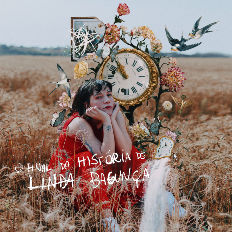 Priscilla Alcântara O Final da História de Linda Bagunça cover artwork