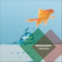 Racoon — Freedom cover artwork