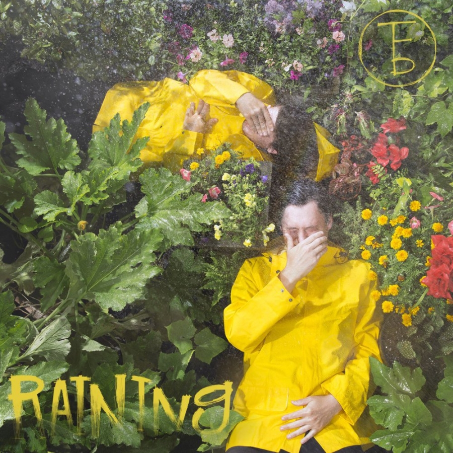 The Front Bottoms — Raining cover artwork