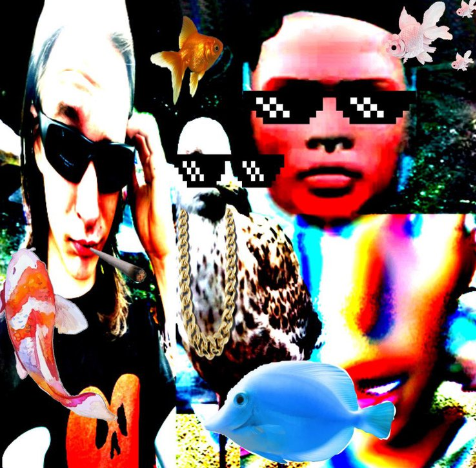Lil Pinecone featuring Young Seagull, Errori, & Lil Soz — Rare Fish cover artwork