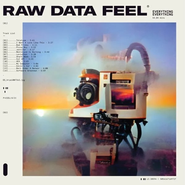 Everything Everything — Raw Data Feel cover artwork