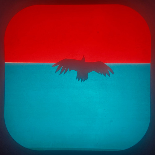 La Palma Hawks in the Sky cover artwork