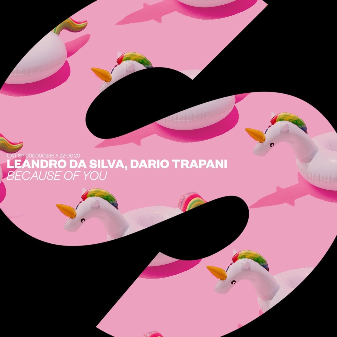 Leandro Da Silva & Dario Trapani — Because Of You cover artwork