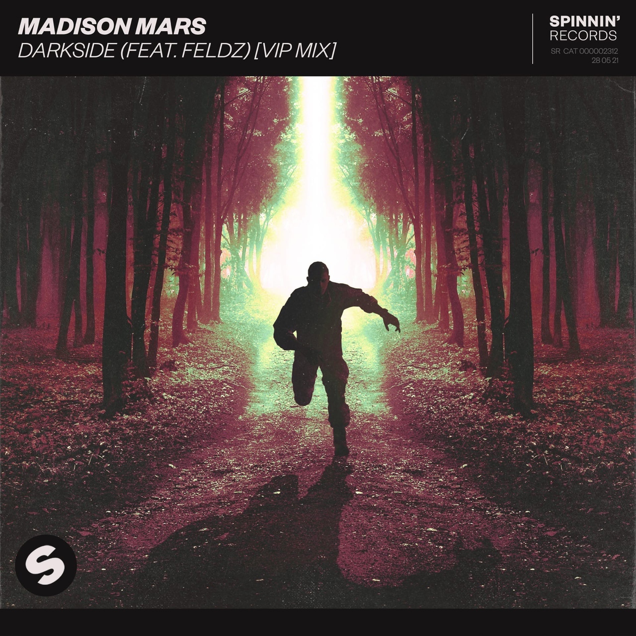 Madison Mars featuring Feldz — Darkside (Vip Mix) cover artwork