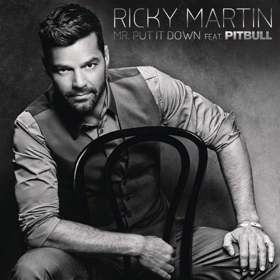 Ricky Martin featuring Pitbull — Mr. Put It Down cover artwork