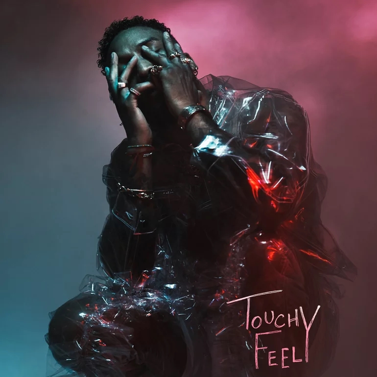 Ro James Touchy Feely cover artwork