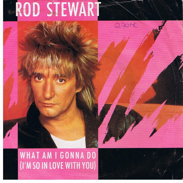 Rod Stewart What Am I Gonna Do (I&#039;m So in Love with You) cover artwork