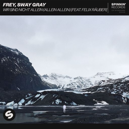Frey & Sway Grey featuring Felix Räuber — Wir Sind Nicht Allein (Allein Allein) cover artwork