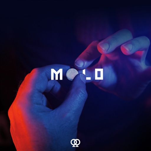 Favst featuring Kbleax, Kizo, & Mr. Polska — Molo cover artwork