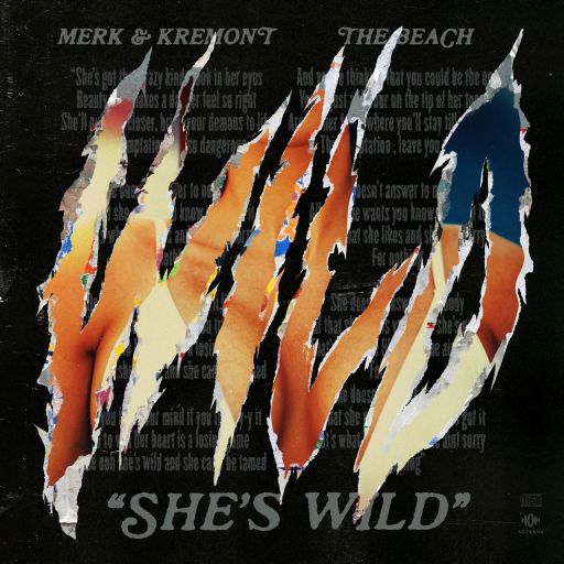 Merk &amp; Kremont & The Beach — She&#039;s Wild cover artwork