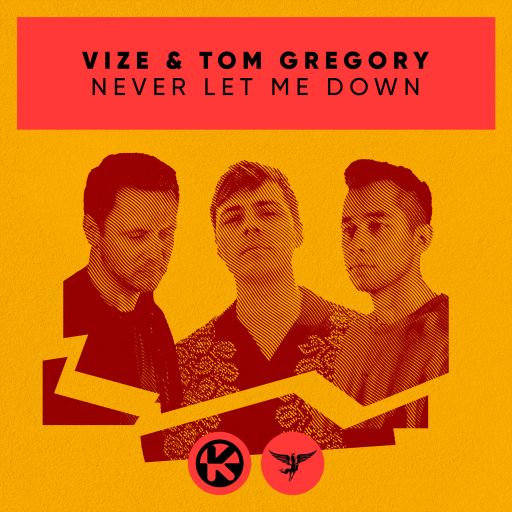 VIZE & Tom Gregory Never Let Me Down cover artwork