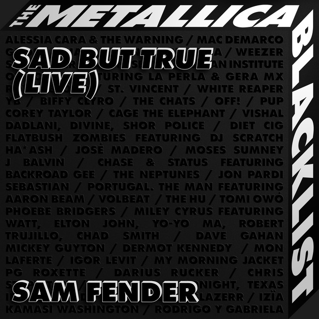 Sam Fender Sad But True (Live) cover artwork