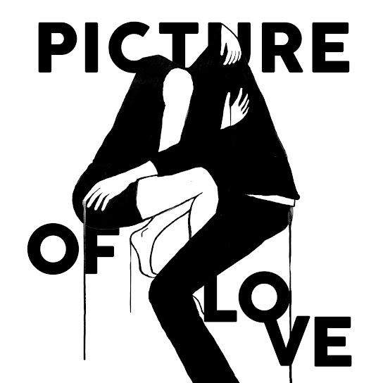 Sam Roberts Band — Picture of Love cover artwork