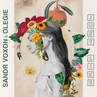 Sandr Voxon ft. featuring Olegie Just Like cover artwork