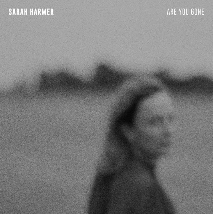 Sarah Harmer Are You Gone cover artwork