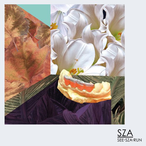 SZA See.SZA.Run cover artwork