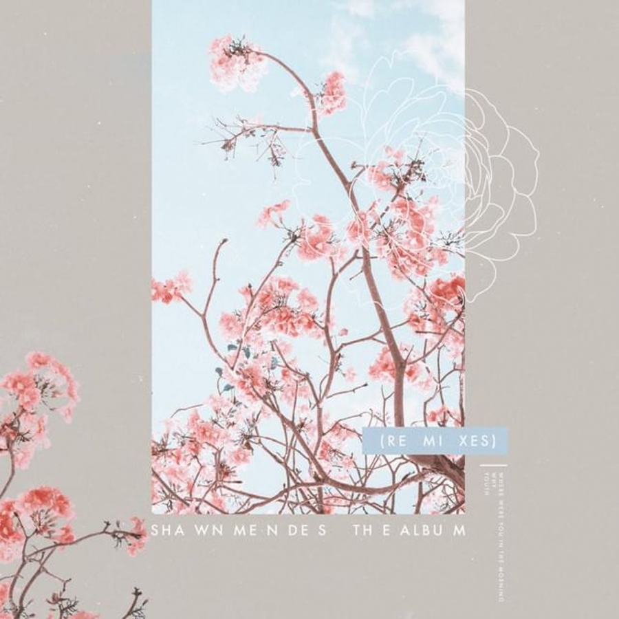 Shawn Mendes Shawn Mendes - The Album (Remixes) cover artwork
