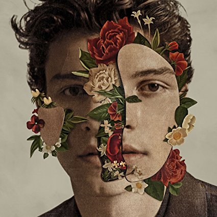 Shawn Mendes — Particular Taste cover artwork