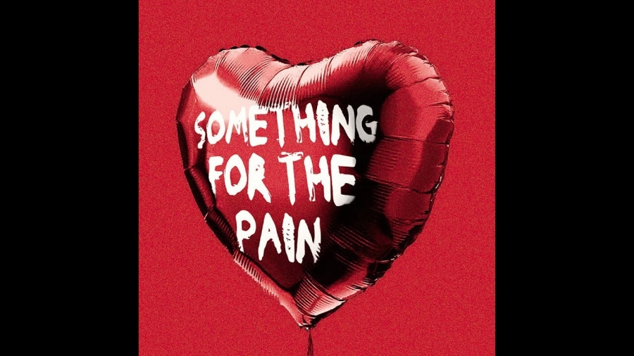She Drew The Gun — Something For The Pain cover artwork