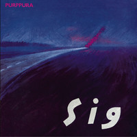 SIG — Hyvää syntymäpäivää cover artwork