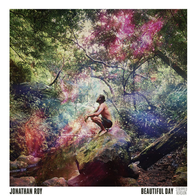 Jonathan Roy Beautiful Day (Stripped Version) cover artwork